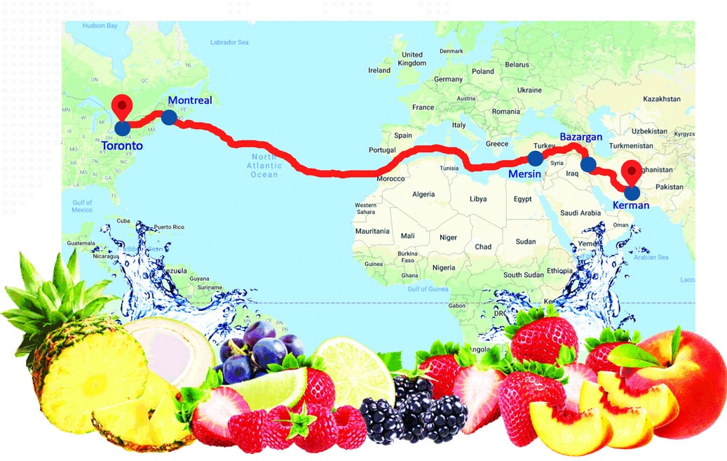 Export of Fresh Fruit from Iran to Canada SASCO